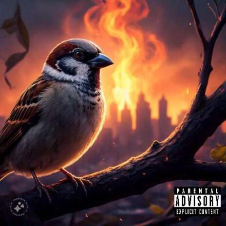 Birdie against the world | Boomplay Music