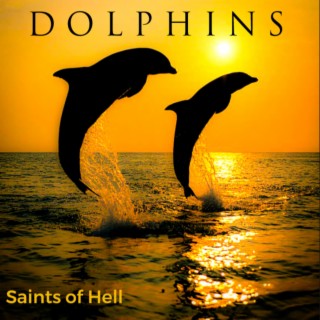 Dolphins