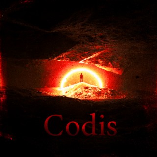 Codis