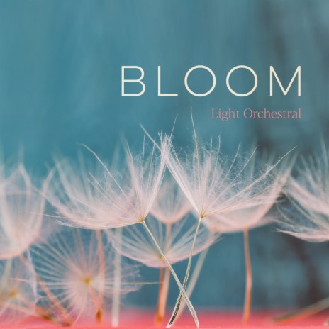 Bloom ft. Opium Flirt | Boomplay Music