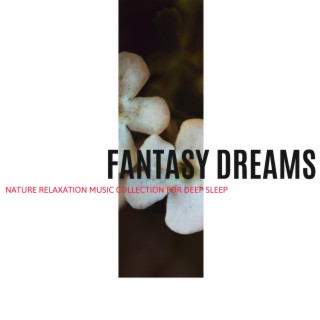 Fantasy Dreams - Nature Relaxation Music Collection for Deep Sleep