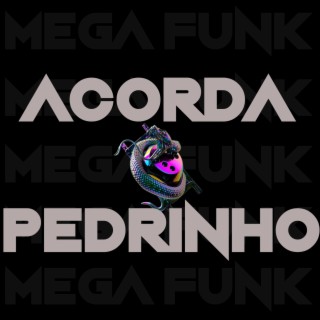 MEGA FUNK ACORDA PEDRIN