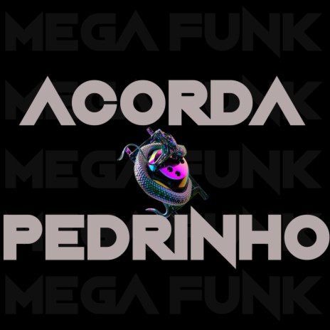 MEGA FUNK ACORDA PEDRIN | Boomplay Music