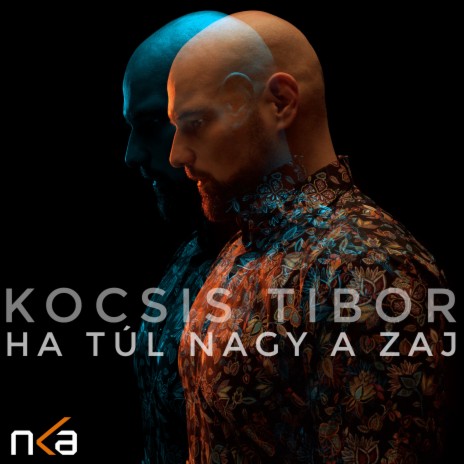 Ha túl nagy a zaj | Boomplay Music