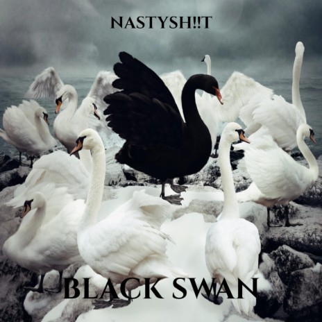 Black Swan | Boomplay Music