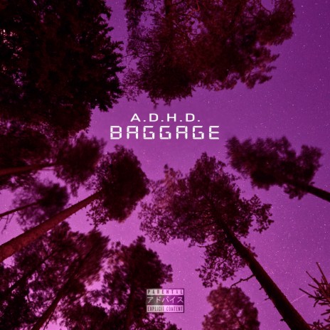 Baggage | Boomplay Music