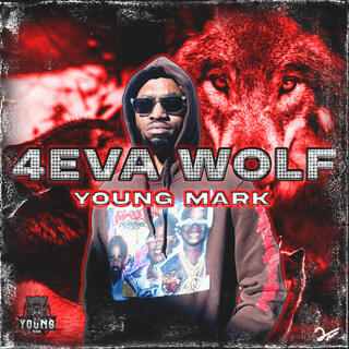 4 EVA WOLF (INSTRUMENTALS) *SIDE A*