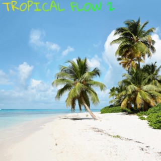 Tropical Flow 2