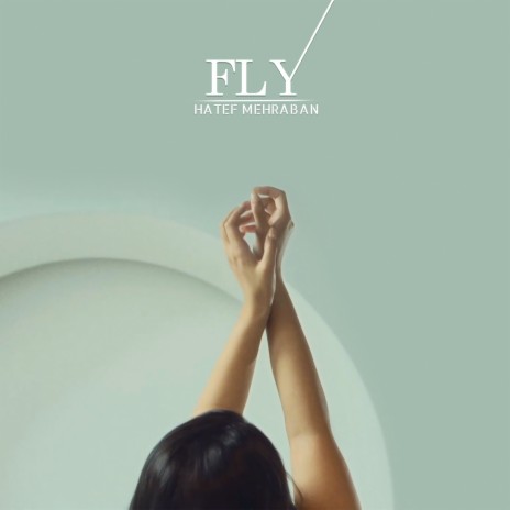 Fly | Boomplay Music