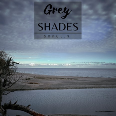 Grey Shades | Boomplay Music
