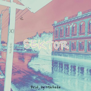 Sektor