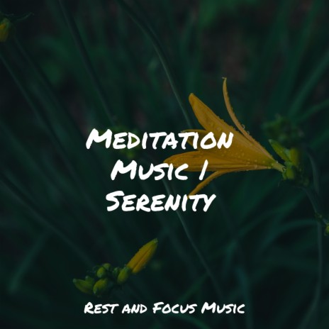 Serene Spirit | Boomplay Music