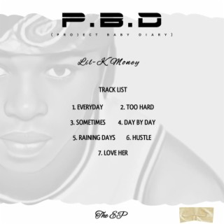 P.B.D (PROJECT BABY DIARY)