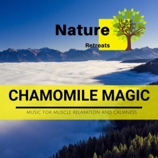 Chamomile Magic - Music for Muscle Relaxation and Calmness