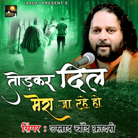 Todkar Dil Mera Jaa Rahe Ho | Boomplay Music