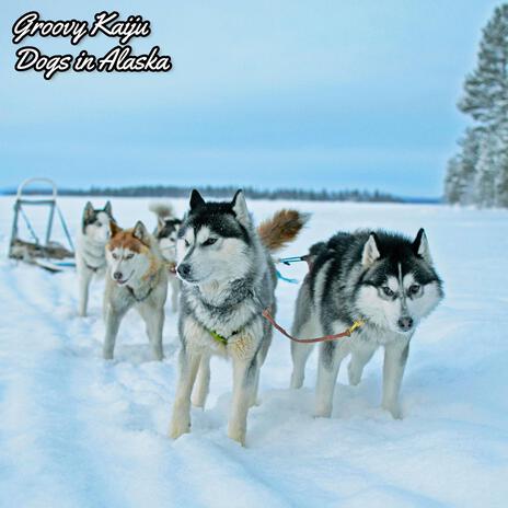 Dogs in Alaska | Boomplay Music