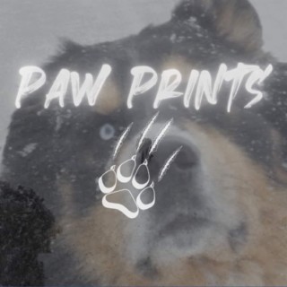 Paw Prints