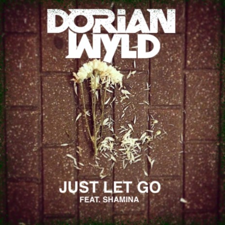 Just Let Go (feat. Shamina) | Boomplay Music