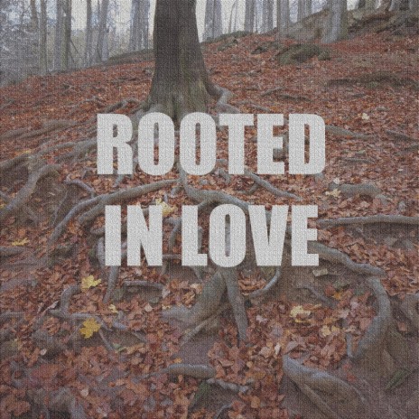Rooted In Love | Boomplay Music