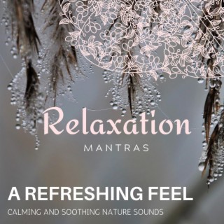 A Refreshing Feel - Calming and Soothing Nature Sounds