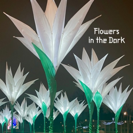 Flowers in the Dark | Boomplay Music