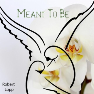 Meant To Be lyrics | Boomplay Music