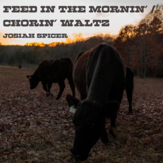 Feed In The Mornin' / Chorin' Waltz lyrics | Boomplay Music