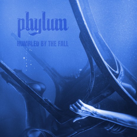 Phylum | Boomplay Music
