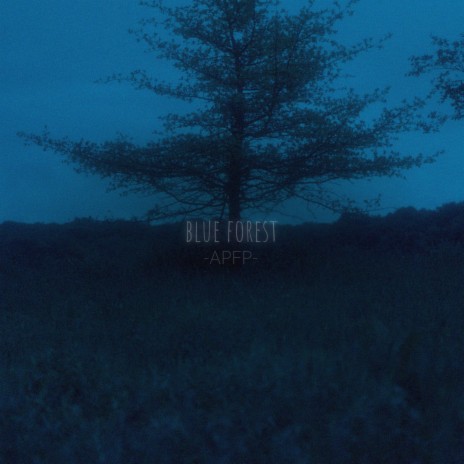 blue forest