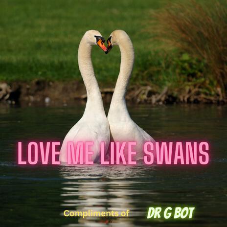 Love Me Like Swans