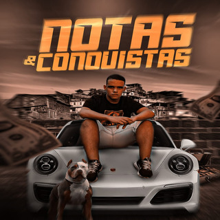 Notas e Conquistas