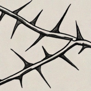 Thorns