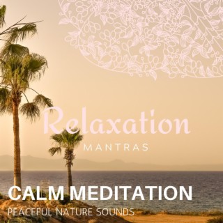 Calm Meditation - Peaceful Nature Sounds