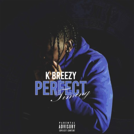 Perfect Timing | Boomplay Music