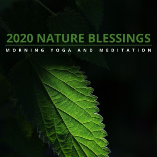 2020 Nature Blessings - Morning Yoga and Meditation