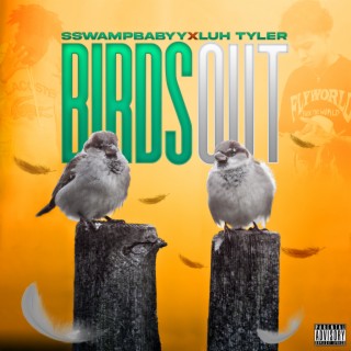 Birds Out (feat. Luh Tyler)