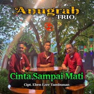 Anugrah Trio