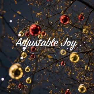 Adjustable Joy