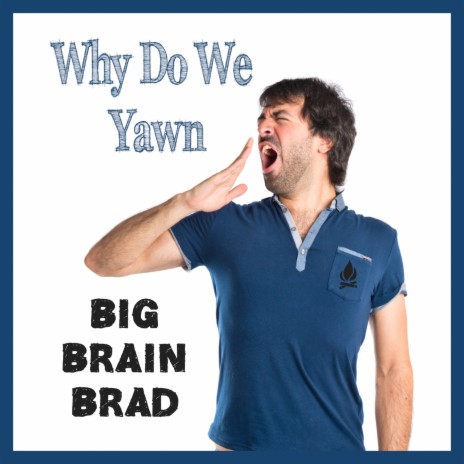 Why Do We Yawn