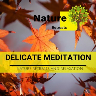 Delicate Meditation - Nature Retreats and Relaxation