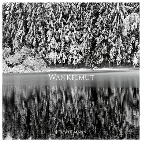 Wankelmut | Boomplay Music