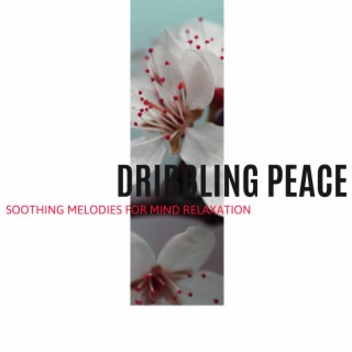 Dribbling Peace - Soothing Melodies for Mind Relaxation