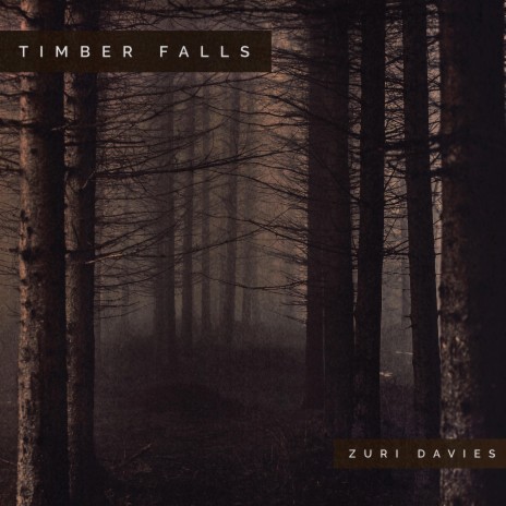 Timber Falls | Boomplay Music