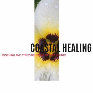 Coastal Healing - Soothing and Stress Relieving Nature Sounds