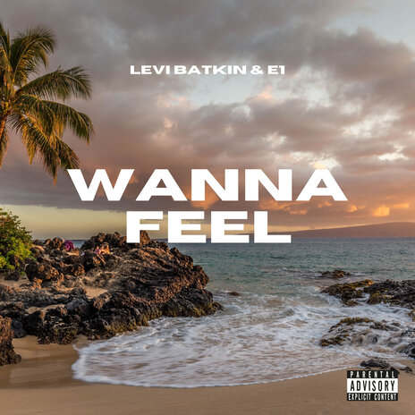 Wanna Feel ft. E1