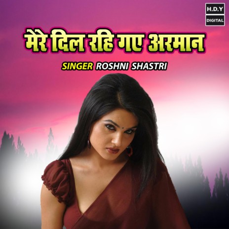 Mere Dil Rahi Gayi Arman | Boomplay Music