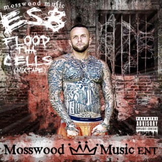 Mosswood Music ESB