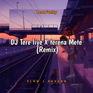 DJ Tere liye X terena Mete (Remix)