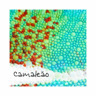 Camaleão