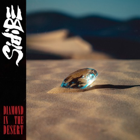 Diamond in the Desert | Boomplay Music